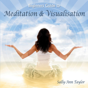 收聽Sally-Ann Taylor的Visualisation歌詞歌曲