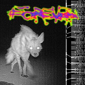 收聽VISIO的Landslide歌詞歌曲