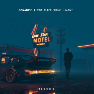 Listen to What I Want song with lyrics from Sonarise