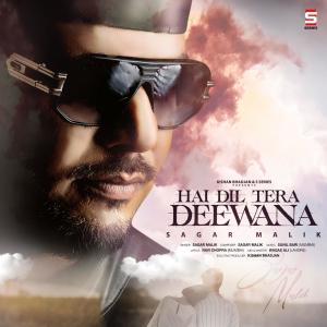 Sagar Malik的專輯HAI DIL TERA DEEWANA