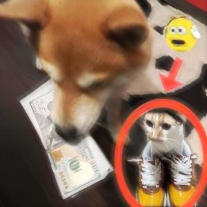 收聽kizuu的##posed2win (feat. vilse) (Explicit)歌詞歌曲