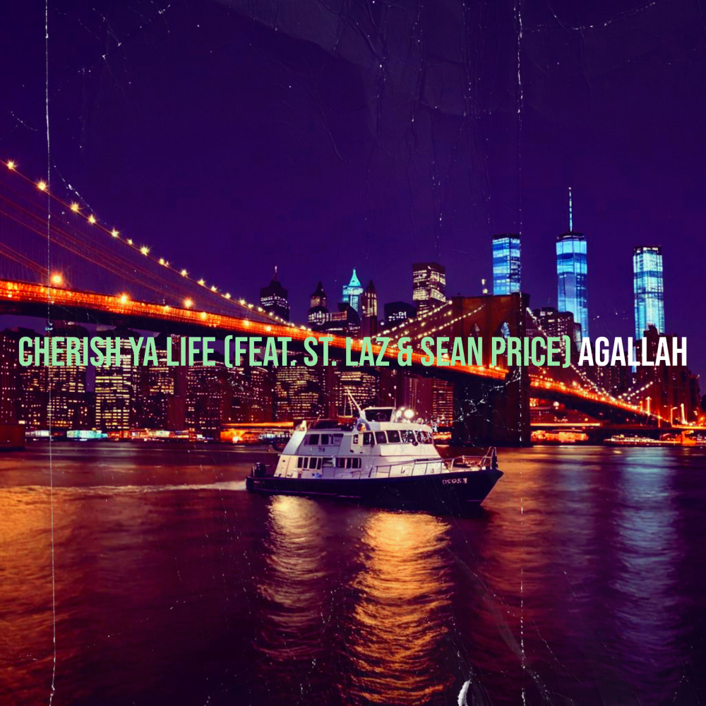 Cherish Ya Life (Explicit)