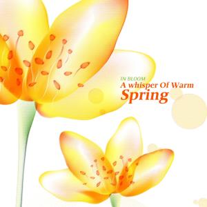 In Bloom的专辑A Whisper Of Warm Spring