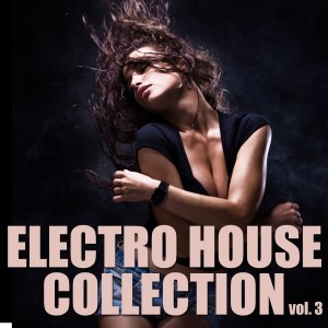 Various Artists的专辑Electro House Collection, Vol. 3