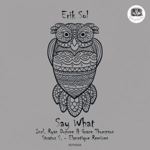 Listen to Say What song with lyrics from Erik Sol
