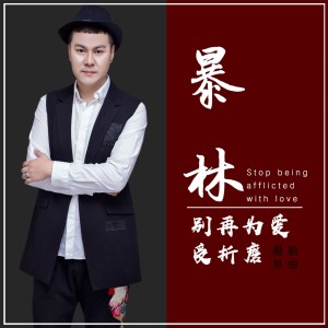 Listen to 别再为爱受折磨 song with lyrics from 暴林