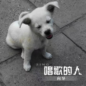 收聽嚮導的歸來去歌詞歌曲