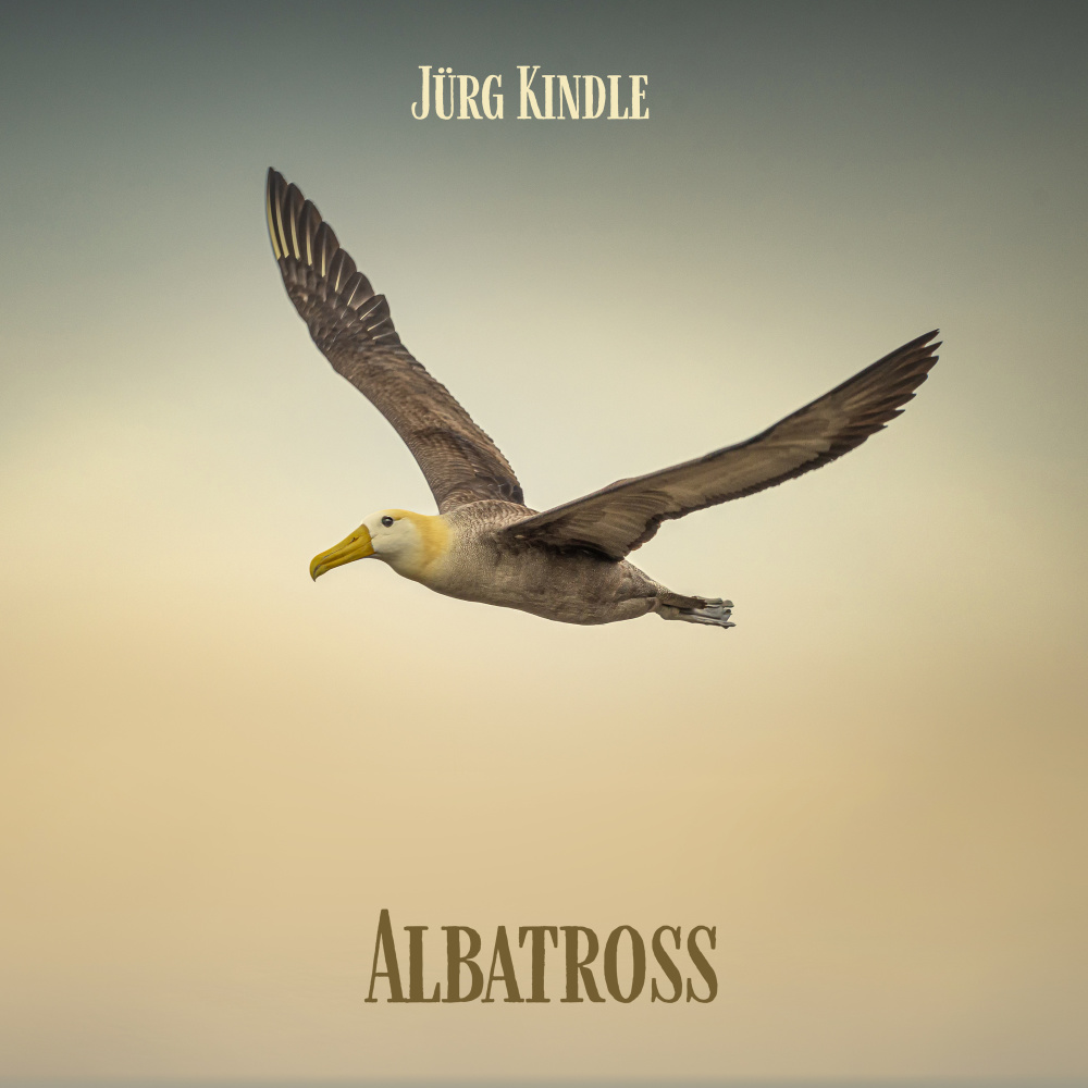 Albatross