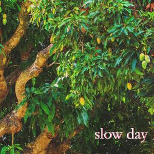 Maplewood的專輯slow day