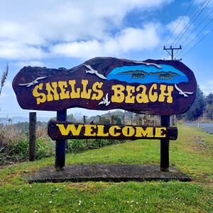 Budd的專輯Dreaming