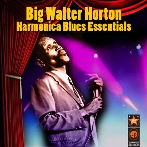 ดาวน์โหลดและฟังเพลง Easy พร้อมเนื้อเพลงจาก Big Walter Horton