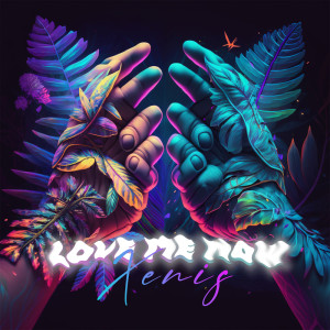 Listen to Love Me Now song with lyrics from Xenis
