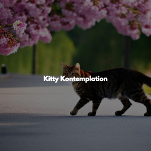 Kitty Kontemplation