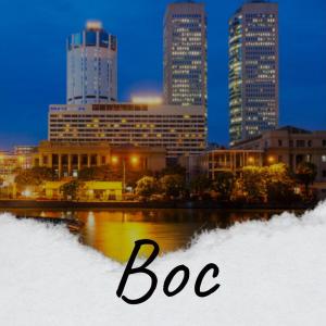 อัลบัม Boc ศิลปิน Various