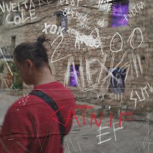 收聽Alexx Shi的Dialectical cat (Explicit)歌詞歌曲