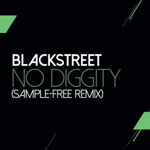收聽Blackstreet的No Diggity (Sam Wilkes & Brian Green Sample Free Remix)歌詞歌曲
