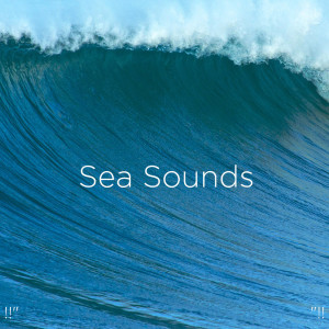 Relajacion Del Mar的專輯!!" Sea Sounds "!!