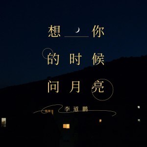 Album 想你的时候问月亮 oleh 李道鹏