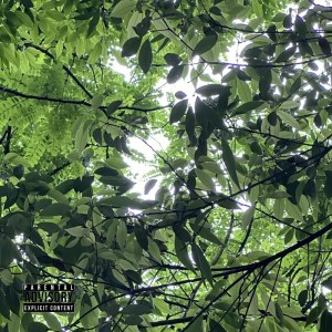 Listen to Chinese flom Japan (Explicit) song with lyrics from 9Lives