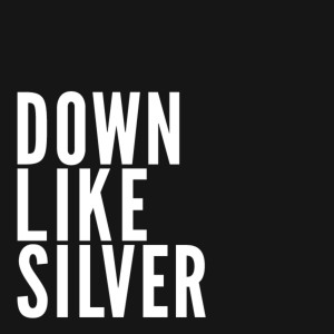 Down Like Silver的專輯Down Like Silver
