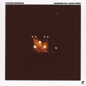 Album Summing Up: Loose Ends from Steven Bamidele