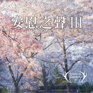 Album 安慰之声 III from 康语骞