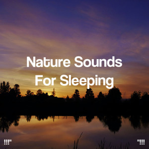 !!!" Nature Sounds For Sleeping "!!!