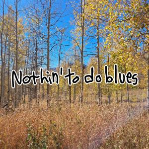 ดาวน์โหลดและฟังเพลง Nothin' to do Blues (Single) พร้อมเนื้อเพลงจาก Anthony Vincent