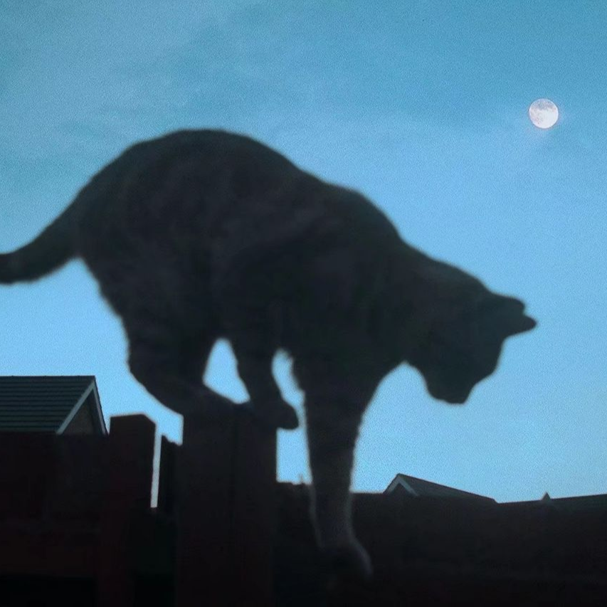 春晴