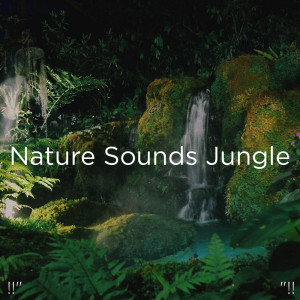 Dengarkan River & Birds lagu dari Nature Sounds dengan lirik