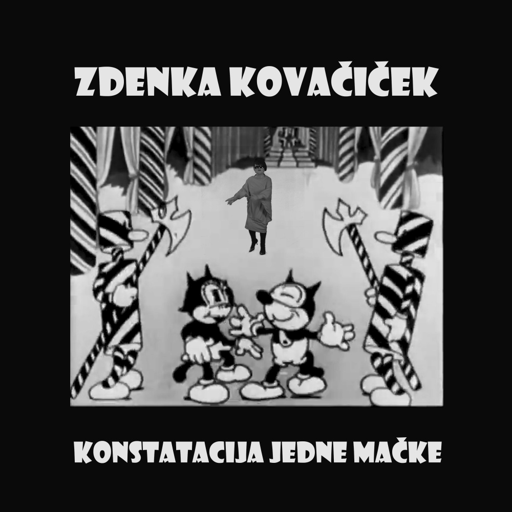 Konstatacija Jedne Mačke