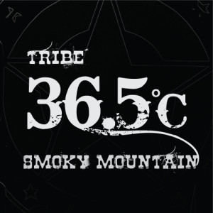 ดาวน์โหลดและฟังเพลง City of Dreams พร้อมเนื้อเพลงจาก 36.5˚C