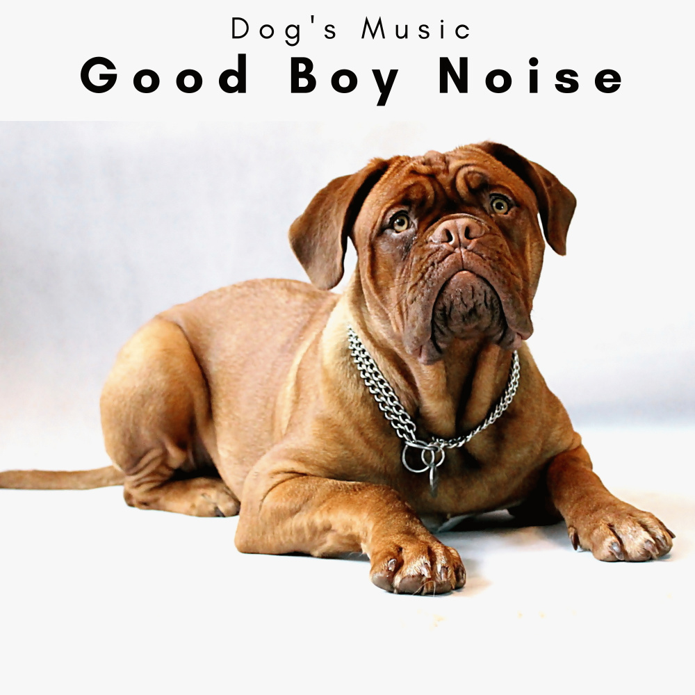 Calm Doggie Noise