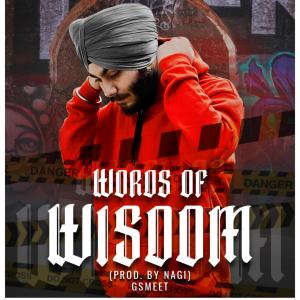 收聽Gsmeet的facts歌詞歌曲