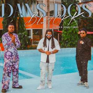 Listen to Dans Dos song with lyrics from Black K
