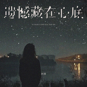 田园的专辑遗憾藏在心底(DJ版)