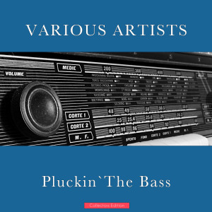 Various Artists的專輯Pluckin'The Bass