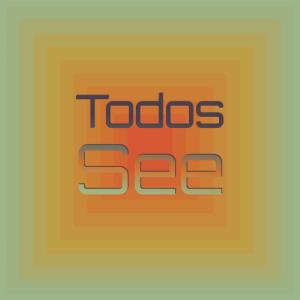 Todos See dari Various