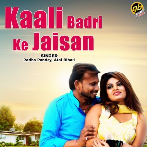 收听Radha Pandey的Kaali Badri Ke Jaisan歌词歌曲