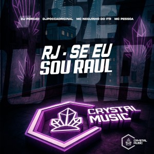 Album RJ - Se Eu Sou Raul (Explicit) from DJ PORCÃO