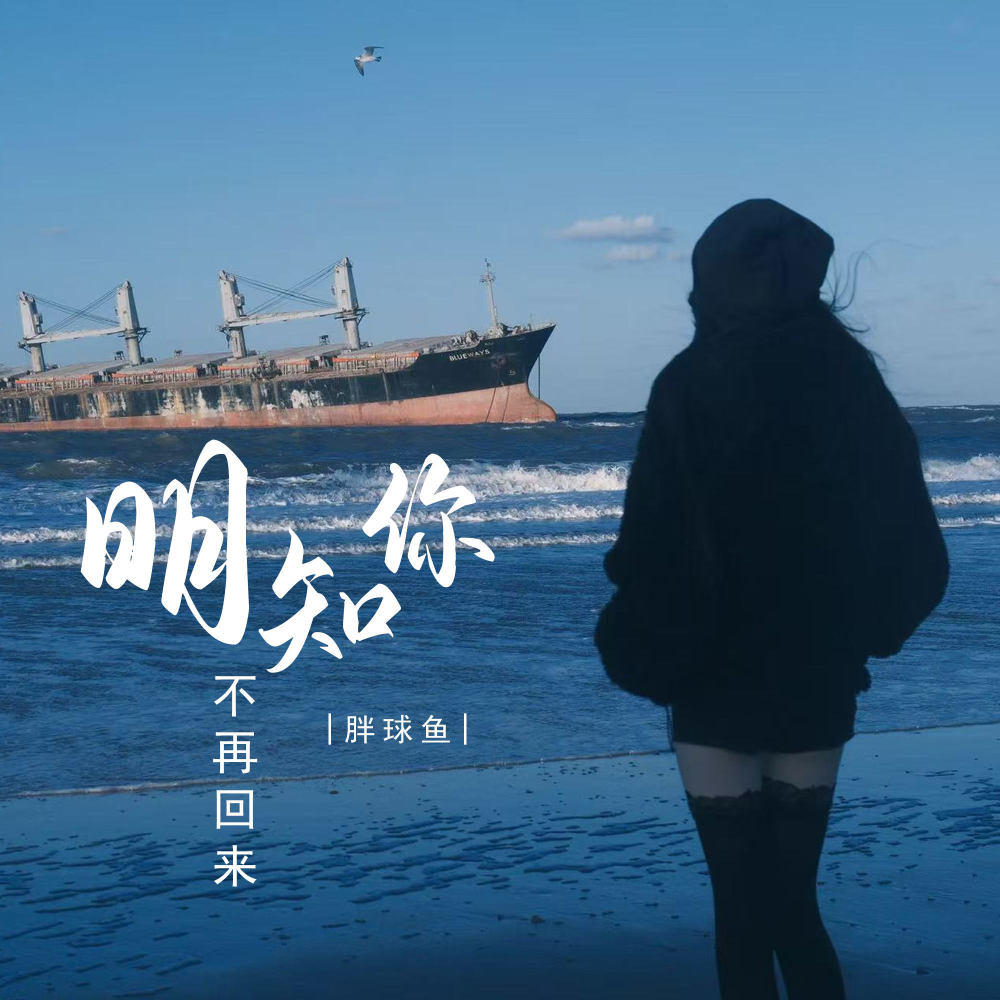 明知你不再回来 (伴奏)