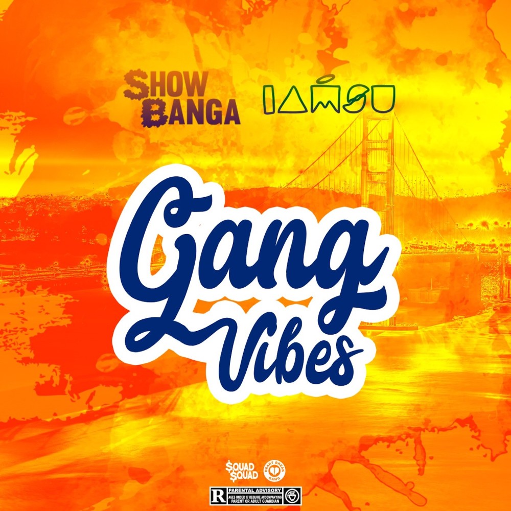 Gang Vibes (Explicit)