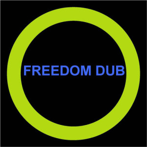 ดาวน์โหลดและฟังเพลง Buffalo Soldier (Electro Version) พร้อมเนื้อเพลงจาก Freedom Dub