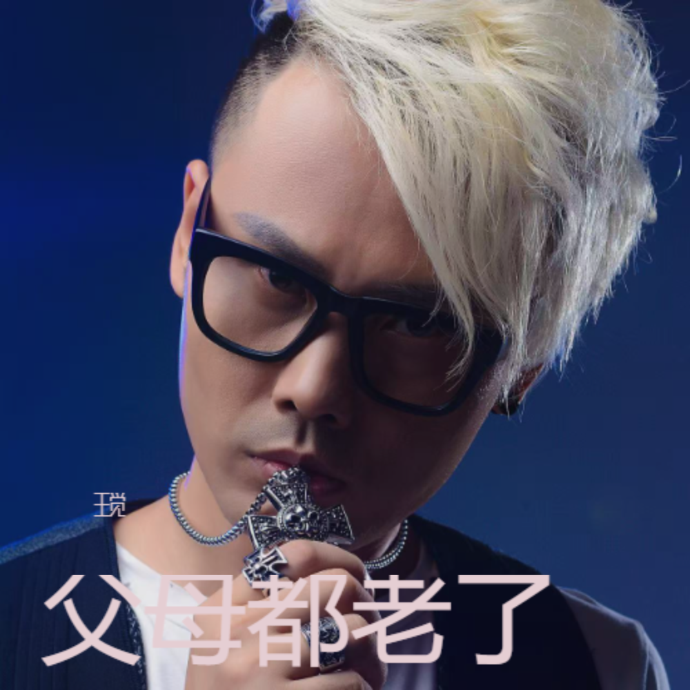 父母都老了 (伴奏)