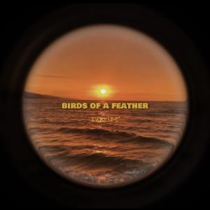 Listen to BIRDS OF A FEATHER (Afro House) song with lyrics from Sunrize