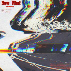 Dengarkan lagu Now What (feat. Danny P) (Explicit) nyanyian Aaron Lorenzo dengan lirik