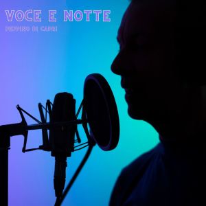 Peppino di Capri的專輯Voce e notte