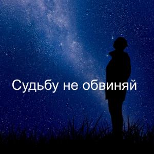 Listen to Судьбу не обвиняй song with lyrics from Тимофей Борисов