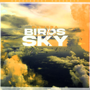 อัลบัม Birds In The Sky (Morgan Seatree Remix) ศิลปิน Newera