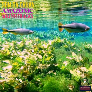 Dengarkan lagu Som da Chuva nyanyian Tavynho Bonfá dengan lirik